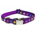 Sassy Dog Wear Sassy Dog Wear POLKA DOT-PURPLE-MULTI2-C Dot Dog Collar; Purple & Multi - Small POLKA DOT-PURPLE/MULTI2-C